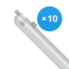 Mehrfachpackung 10x Philips LED Feuchtraumleuchte CoreLine WT120C G2 42.9W 6000lm - 840 Kaltweiß | 150cm 